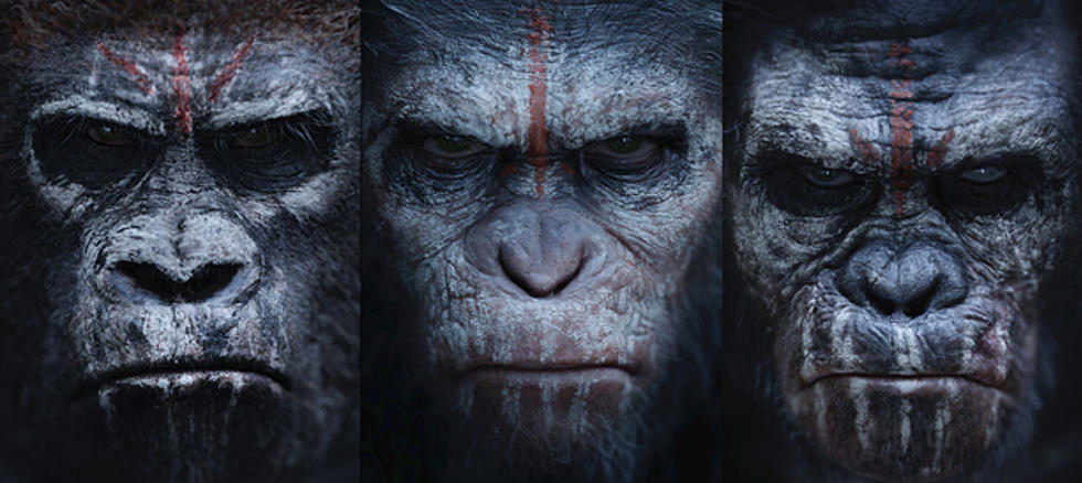 See ‘Dawn of the Planet of the Apes’ with The LOON at Parkwood Cinemas for FREE [VIDEO]