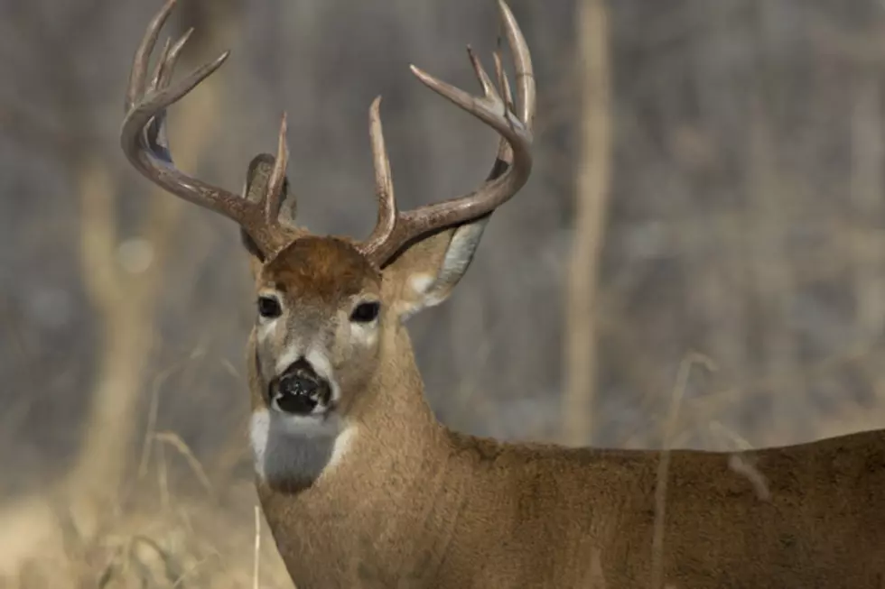 Perfect Whiskey to Celebrate with after Deer Hunting… or Not