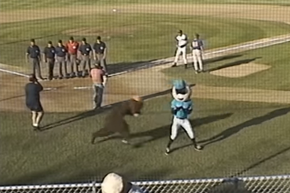 #FlashbackFriday: That Time Two Mascots Fought in Brainerd [VIDEO]