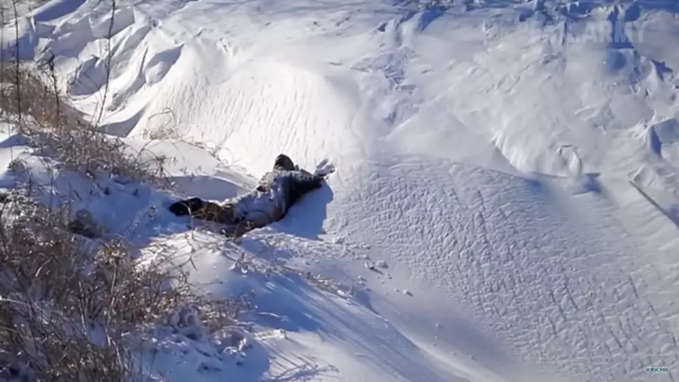 Ultimate Winter Fails [VIDEO]