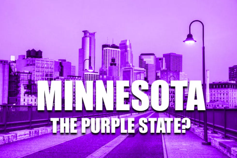 How Do You Feel About Minnesota’s State Color Being ‘Purple’? [POLL]