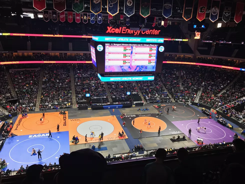 Ava’s 2017 MN State Wrestling Tourney Experience
