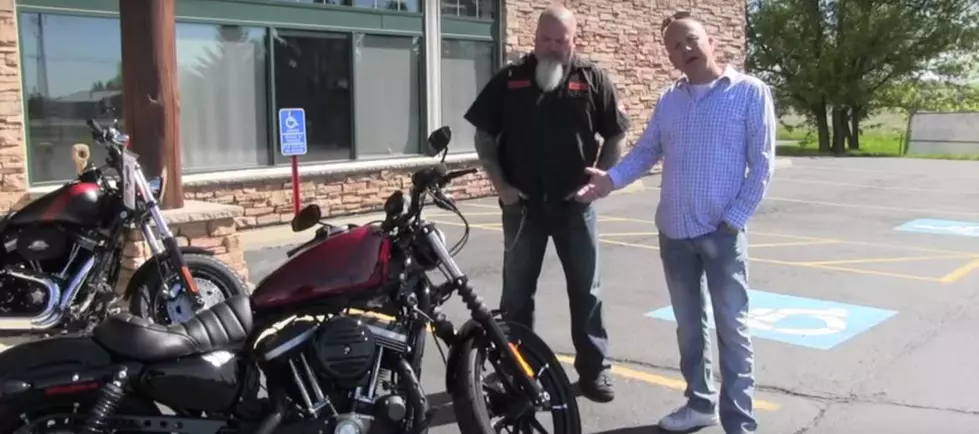 Ready to Go Riding This Summer? (This Should Be Your New Bike!) [VIDEO]
