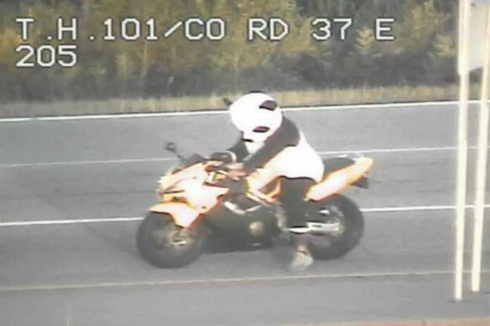 Panda Riding A Motorcycle Get’s Pulled Over on I-394 [PHOTO]