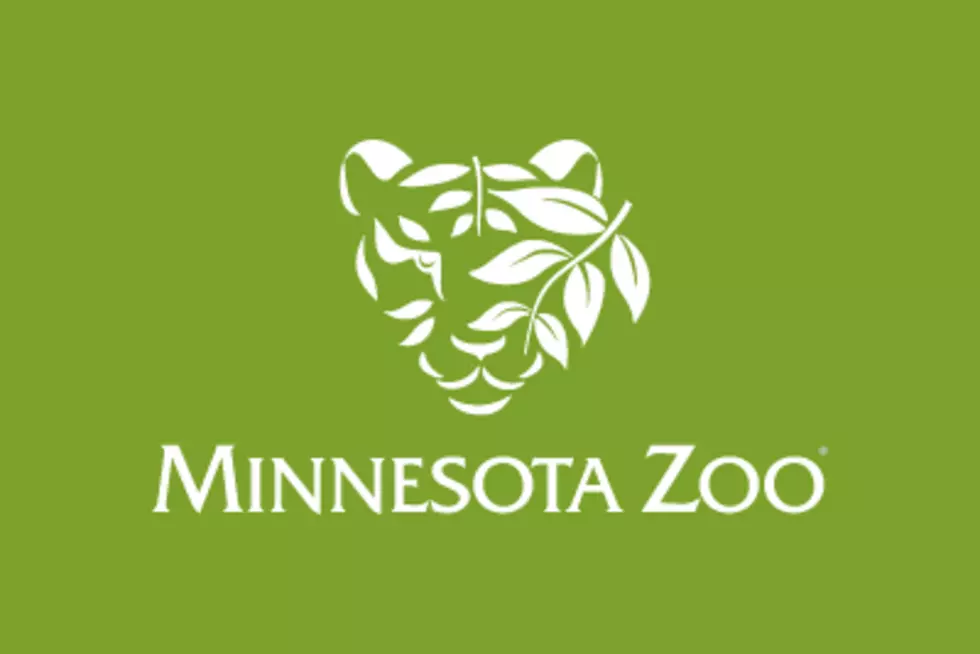 Minnesota Zoo Could Close by End of June