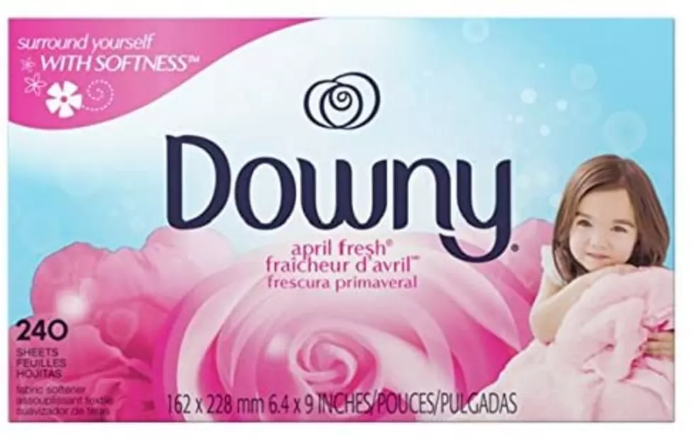 Dryer Sheets- Not Just for Laundry Anymore