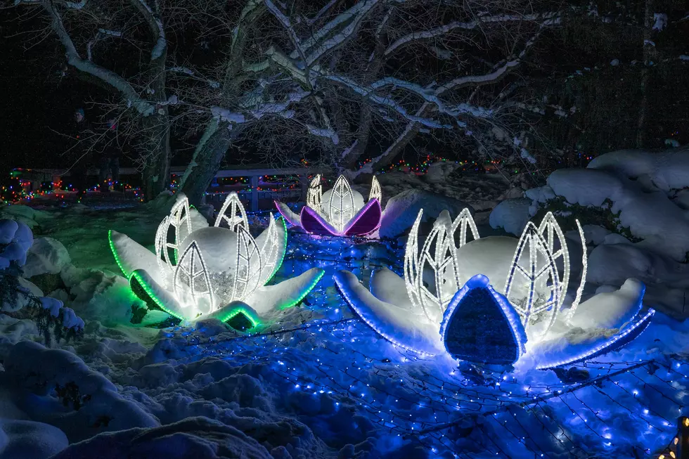 Drive-Thru Holiday Lights @ Arboretum- More Tickets Available