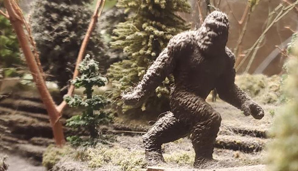 Don't Miss The Minnesota Bigfoot Conference Next Month