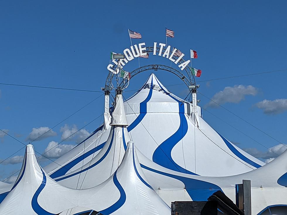 Last Days to See Cirque Italia Water Circus in St. Cloud