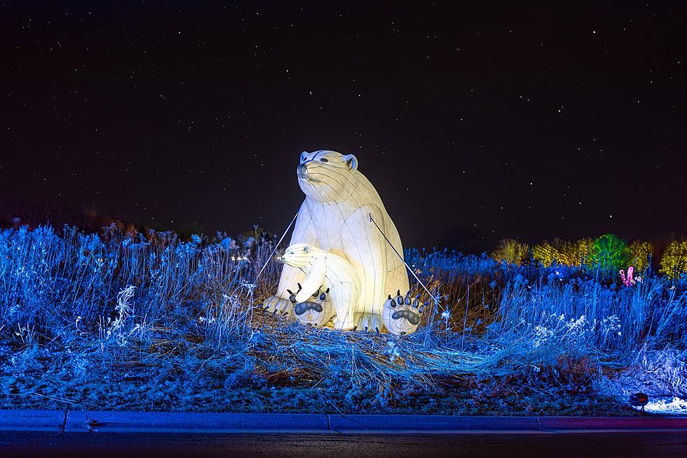Nature Illuminated Returns to Minnesota Zoo This Year