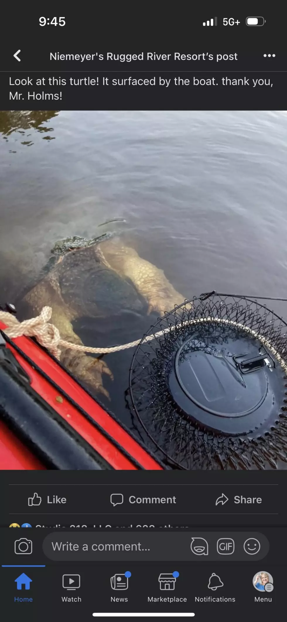 WOW! Giant “Dinosaur” found in the Mississippi Near Brainerd