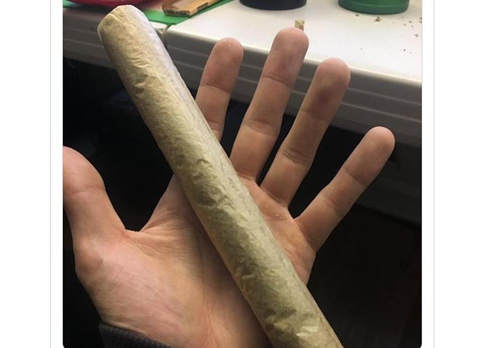 Minnesota State Senator Must Roll Some Huge Joints (OPINION)
