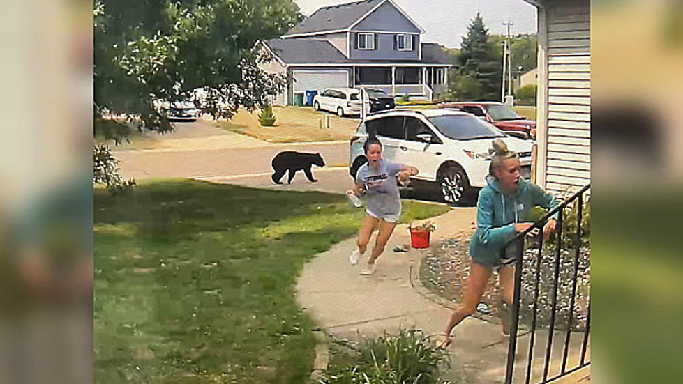 [Watch] Black Bear Panics Minnesota Teens