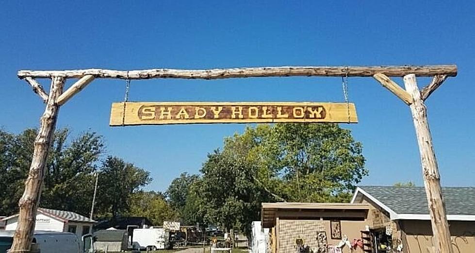 Take a Road Trip and Check Out Shady Hollow Flea Market