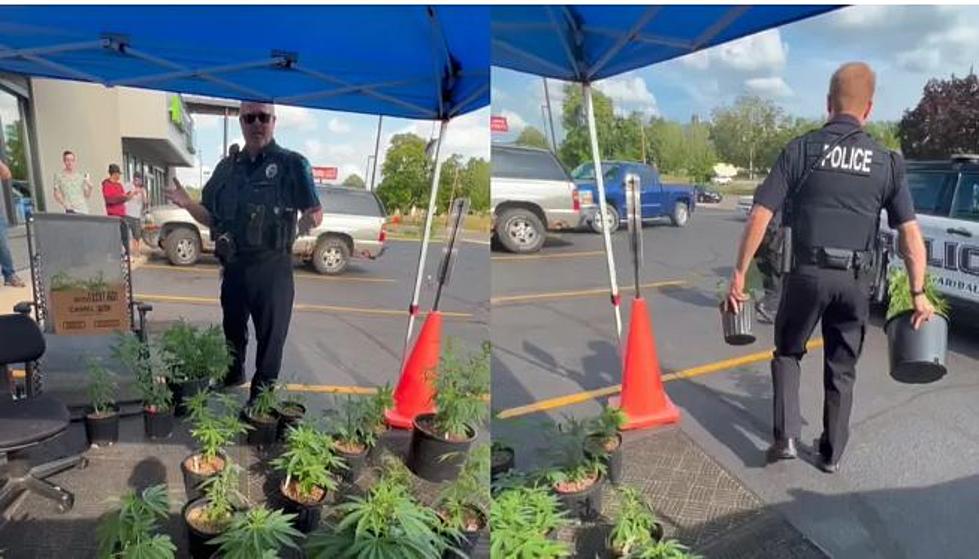 Tent Sale Offers Pot Plants For Sale, Cops Say “Nope” (video)