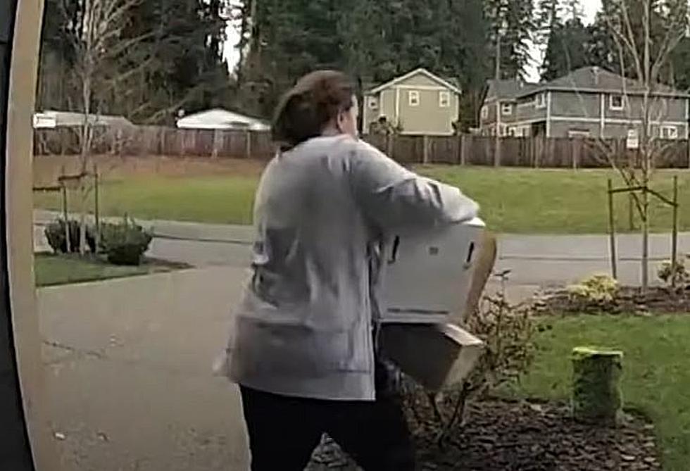What Happens To Porch Pirates If and When They Are Caught?