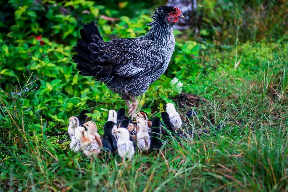 Photo by K Kannan on Unsplash