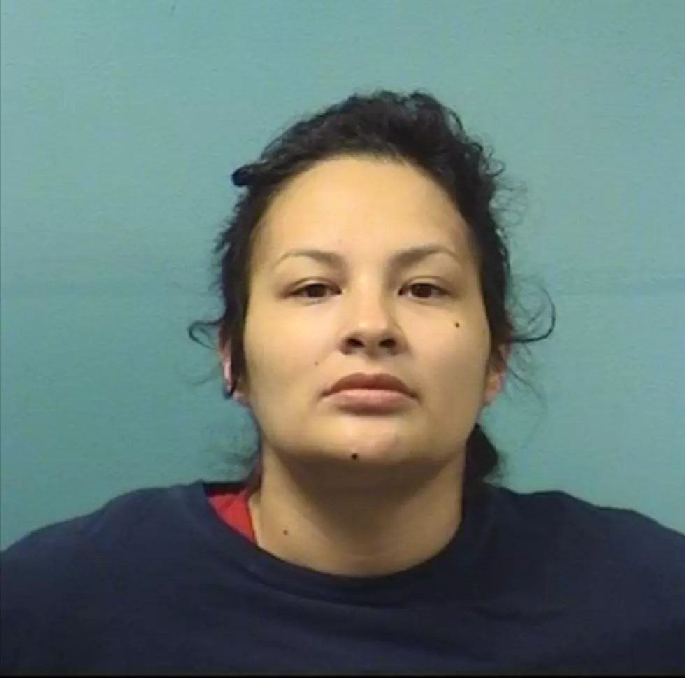 Stearns County Jail Roster