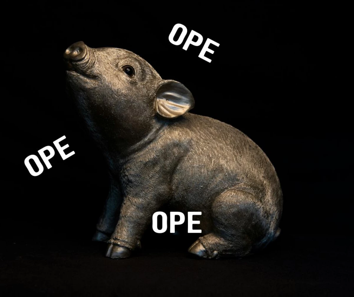 Some Minnesotans Have the Big Mads Over 'OzemPig'