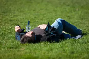 The Five Alcohol Types Guaranteed to Leave Minnesotans Hungover