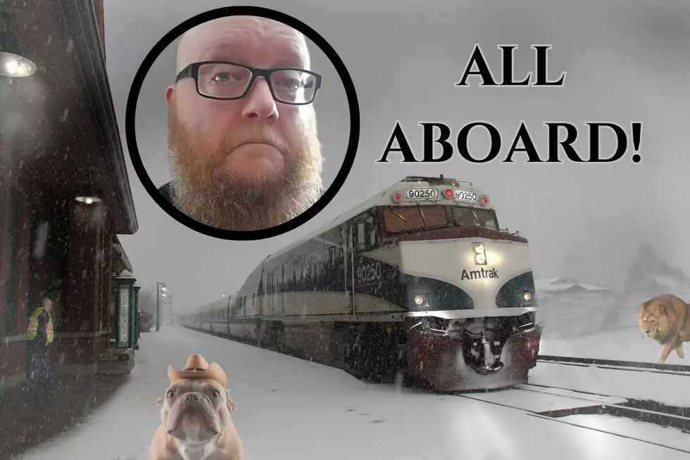 The Pros and Cons of Taking the Amtrak Borealis to Chicago