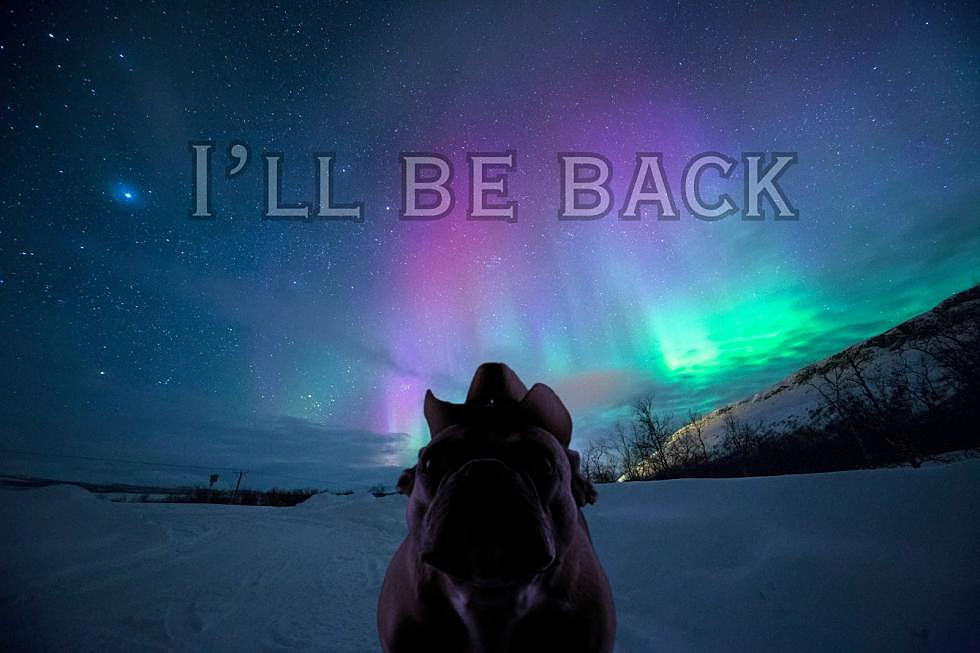 ‘I’ll Be Back’ – The Aurora Borealis Likely to Return Soon