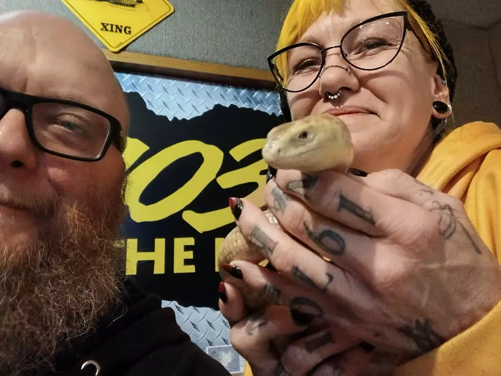 Angie the Snake Lady Stopped By…With a Legless Lizard!