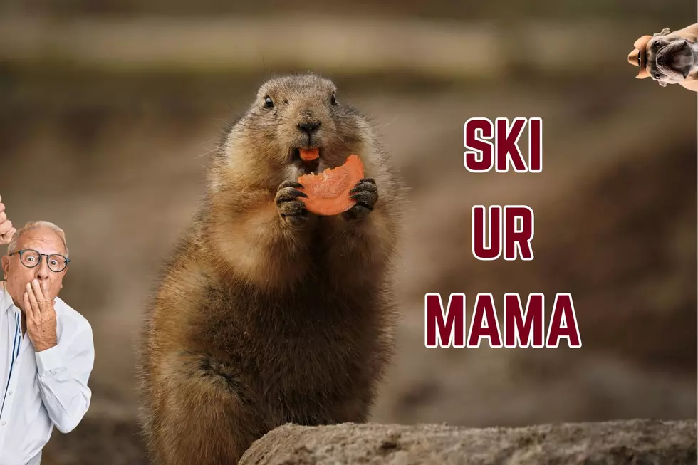 The Origins of Ski-U-Mah, Row the Boat, and other Gophers-isms