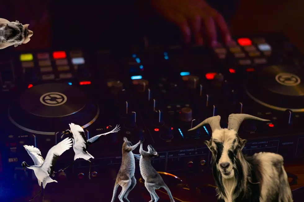 Wanna Bust a Move With Goats at Anoka County Fair’s Silent Disco?