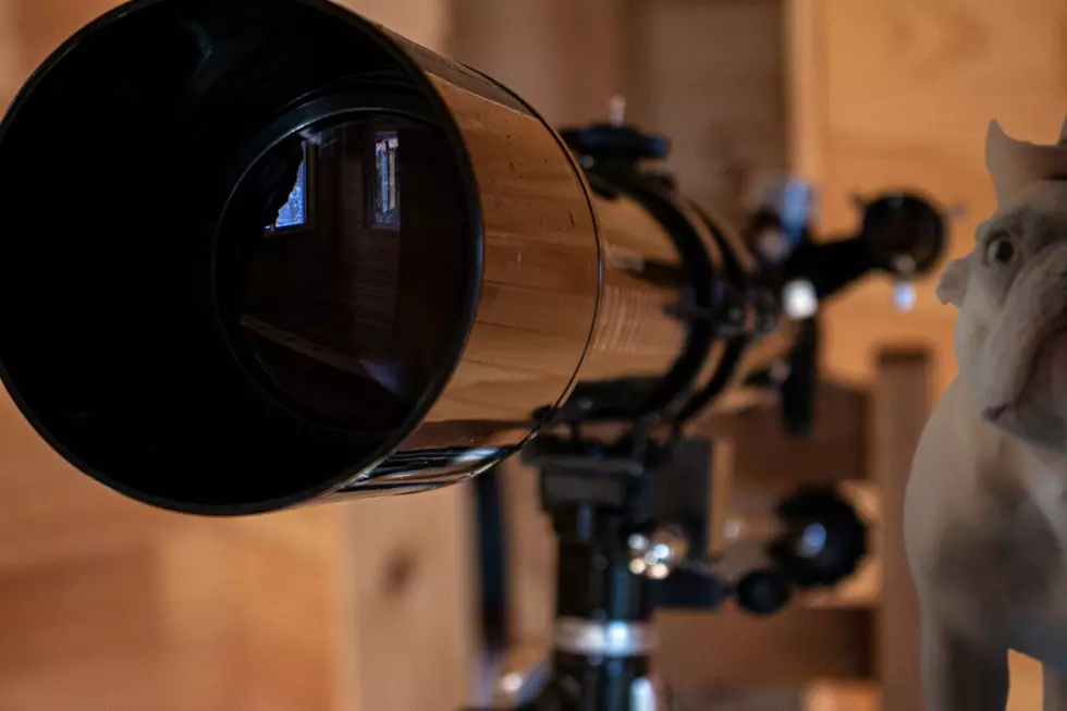 Gaze Into Deep Space at the Bell Museum Star Party!