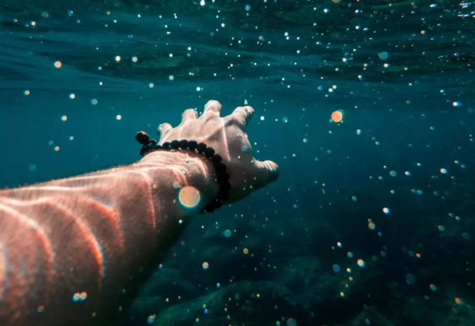 I'll arm wrassle a shark! (Photo by Cristian Palmer on Unsplash)