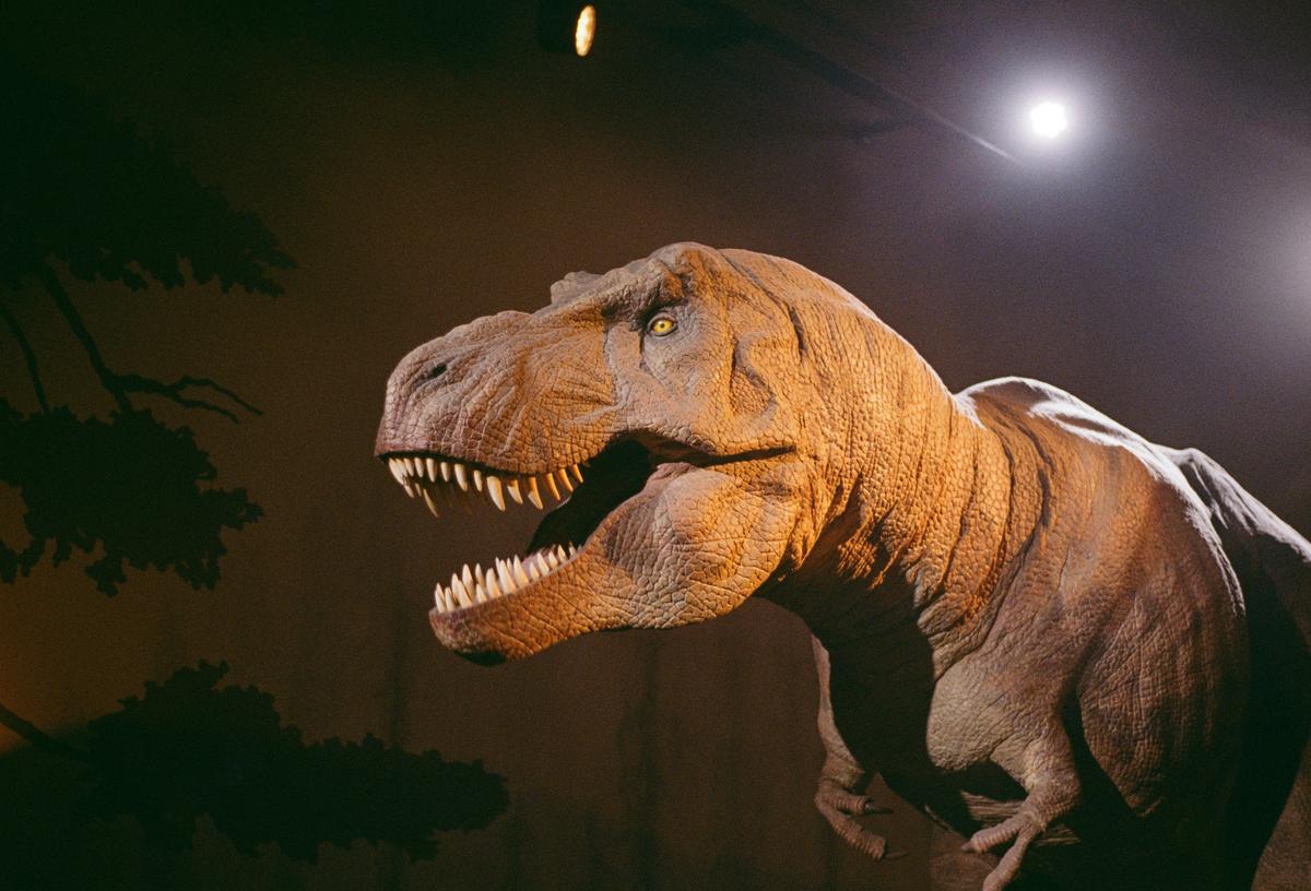 Families Can Experience Dinosaurs At Minnesota’s Science Museum