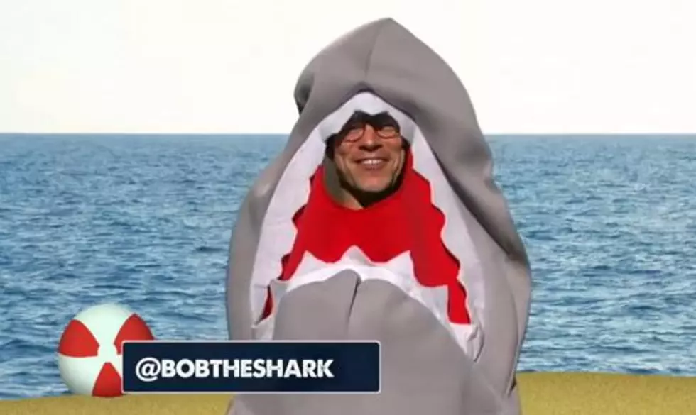 Shark Week Mascot Q&#038;A &#8211; It&#8217;s Actually Entertaining