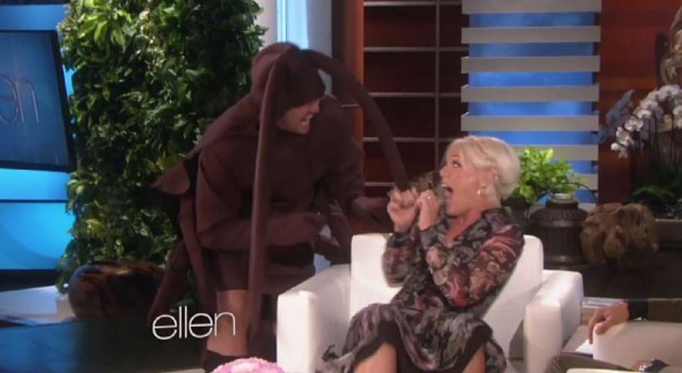 Ellen DeGeneres Scares Pink With Big Spider!