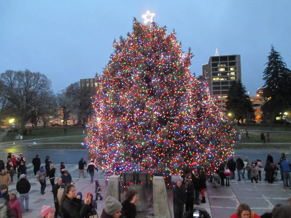 Capitol Christmas Tree Lighting Live Stream at