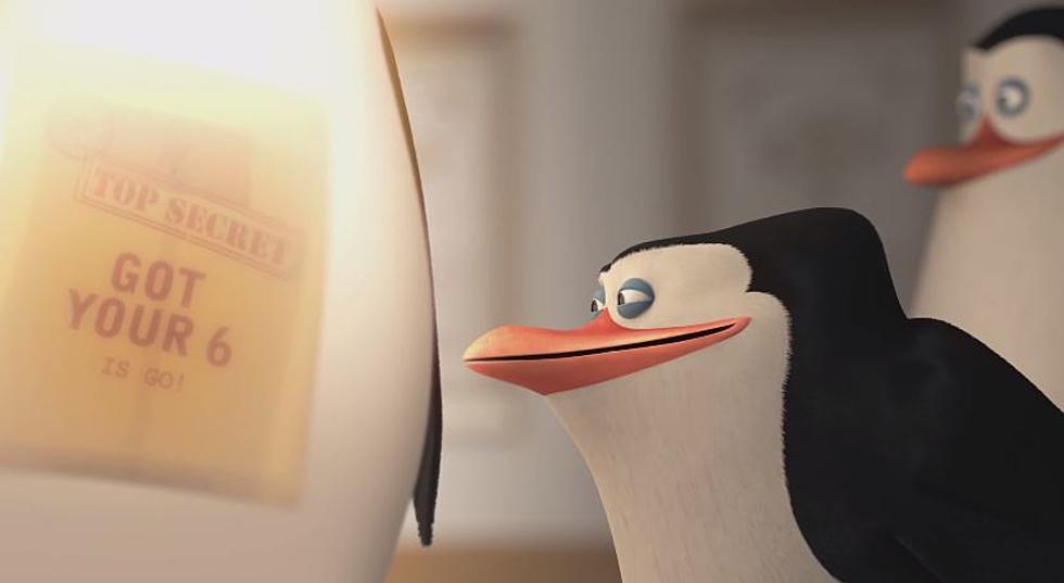 The Meaning of Veterans Day From the ‘Penguins of Madagascar’