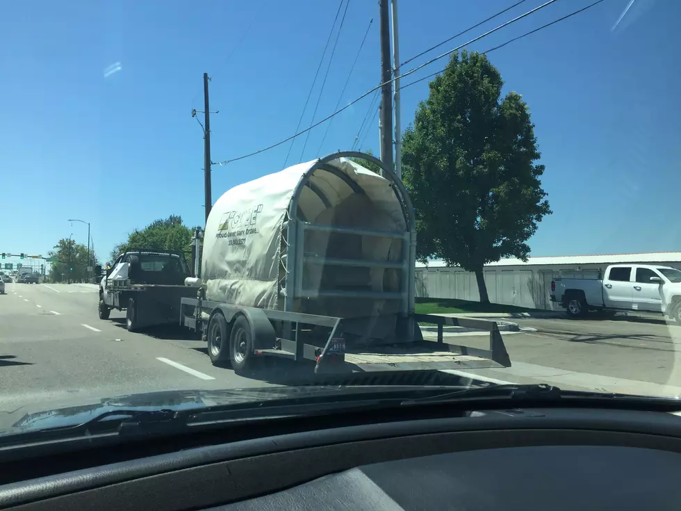 Guess What I Saw Driving?