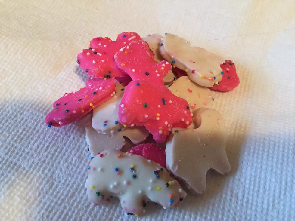My Kid Cookie Confession:  I Love Those Frosted Circus Animal Cookies