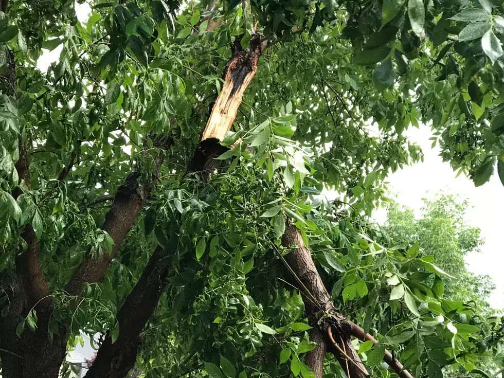 Some Damage and Pictures of the Crazy Weather Across The Valley Yesterday