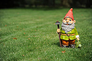 How Boise Is Able To Avoid The Worldwide Gnome Shortage