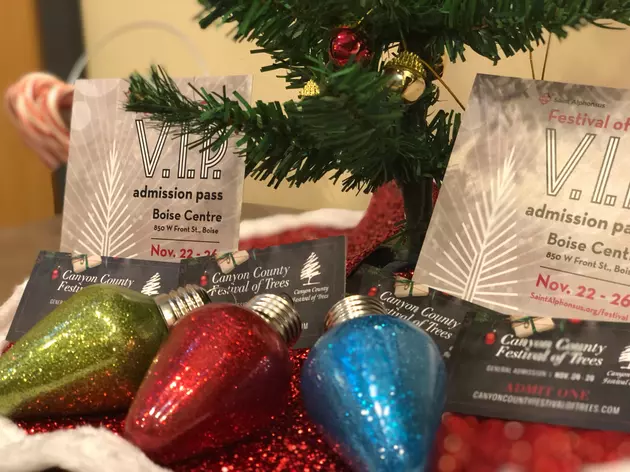 LITE VIPs Take Home Our LAST Santa Stocking This Weekend