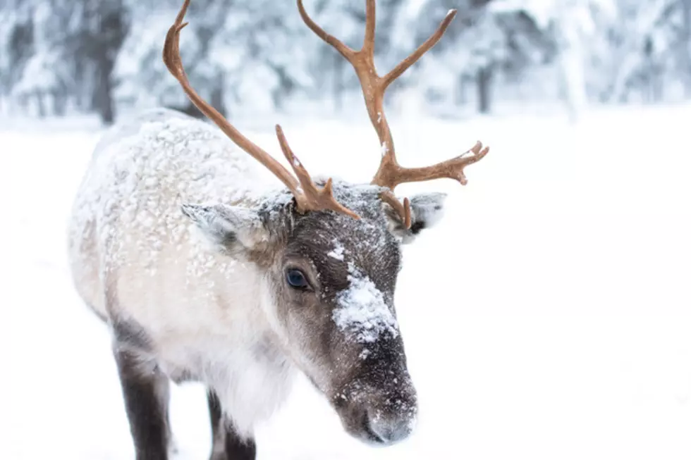 Dreaming of a White Christmas in Boise? Chances Aren&#8217;t Good