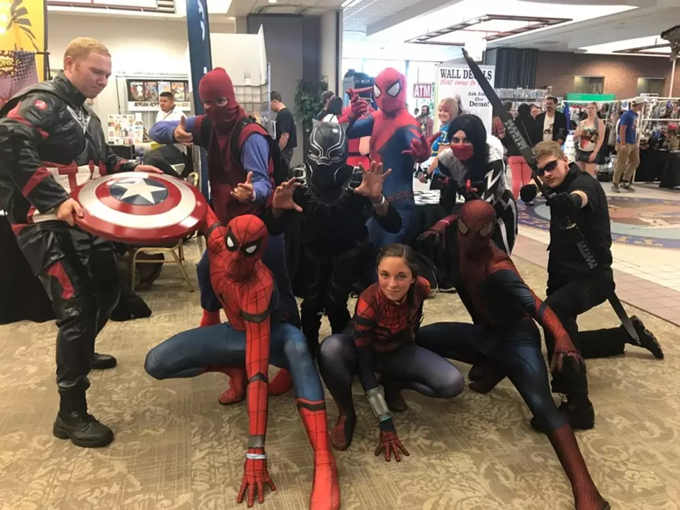 Treasure Valley Comic Con Will NOT Return for 2018