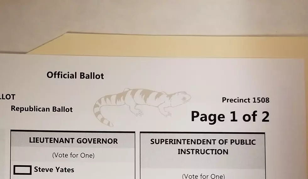 Why Was There a Lizard on My Idaho Primary Ballot?