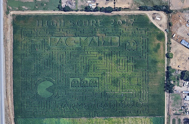 Is This the Last Year for The Farmstead Corn Maze?