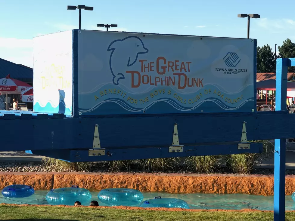 The Great Dolphin Dunk is Back at Roaring Springs