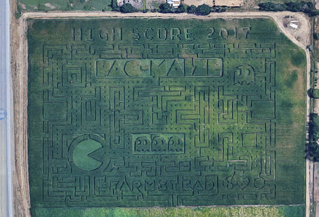 Help the Farmstead Get Named the Best Corn Maze in the Country