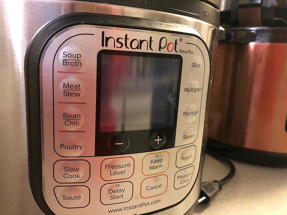 Forgot to Clean This Part of the Instant Pot? Say Hello to Maggots!