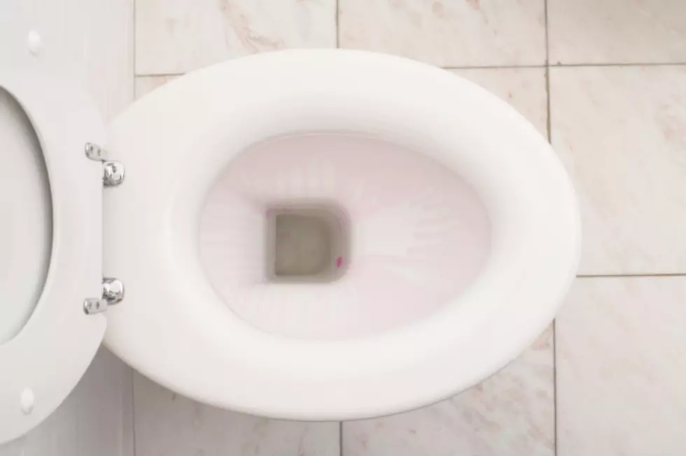 Quarantine Diaries: Does Breaking Two Toilets Make Me a Bad Adult?