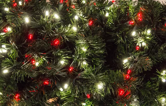 If You Find This Lump In Your Real Christmas Tree, Throw It Out